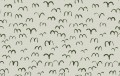 Fototapeta ptaki Rebel Walls R20625 Bird Green Fine Little Day