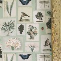 Tapeta John Derian PJD6001/01 Picture Book
