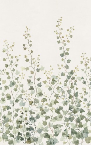 Fototapeta bluszcz Sandberg S10484 Ivy Green Ett Hem, Öland