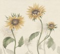 Fototapeta słoneczniki Sandberg S10527 Sunflowers Yellow Ett Hem, Öland