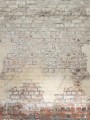 Mural cegła Caselio RLF 106251026 M Brickwall Reliefs