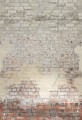 Mural cegła Caselio RLF 106251027 L Brickwall Reliefs