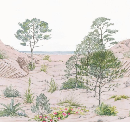 Mural krajobraz natury Caselio RLF 106377037 S Sand Dune Reliefs