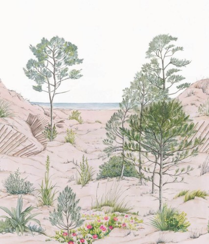 Mural krajobraz natury Caselio RLF 106377039 L Sand Dune Reliefs