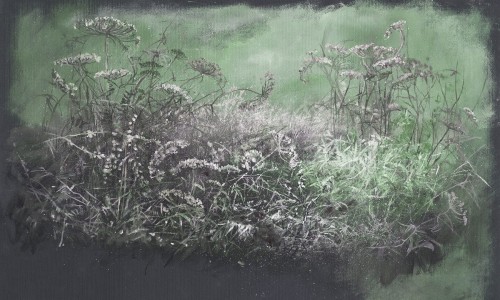 Fototapeta artystyczna łąka Wonderwall Erbe 35063808