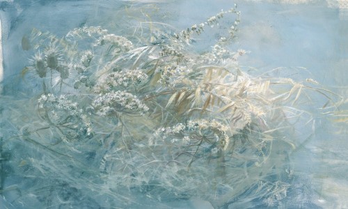 Fototapeta roślinna Wonderwall Holly 35063608