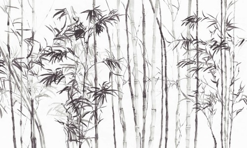 Fototapeta bambusowy las Wonderwall Jawa 35057310