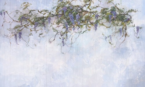 Fototapeta roślinne pnącza wisterii Wonderwall Pastorale 35056903