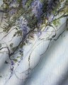 Fototapeta roślinne pnącza wisterii Wonderwall Pastorale 35056903