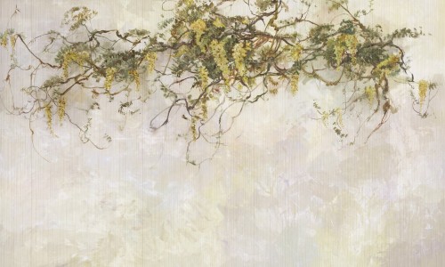 Fototapeta roślinne pnącza wisterii Wonderwall Pastorale 35056908