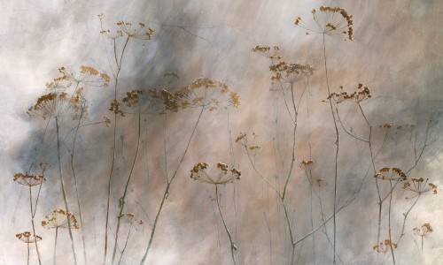 Fototapeta kwiaty kopru Wonderwall Pianta 35056804