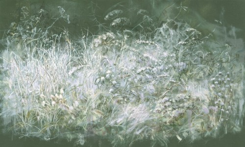 Fototapeta artystyczna polna roślinność Wonderwall Feronia 35063508