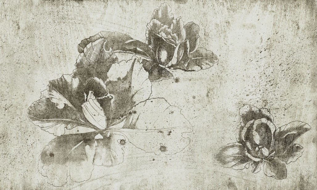 db96f3448cca48fab8077db44f1e4109