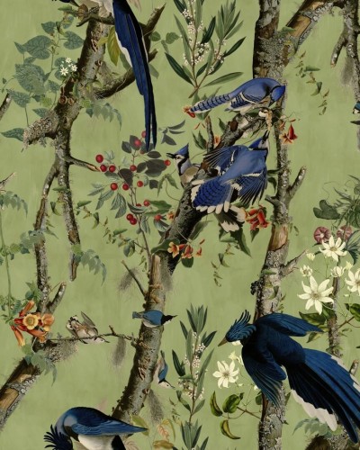 Mural botaniczny Mind The Gap WP20715 BIRDS OF DANUBE The Wetlands