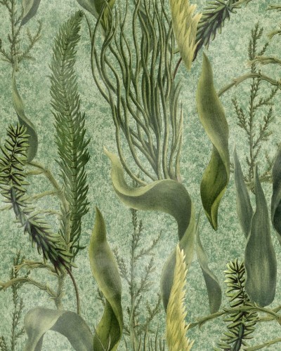 Tapeta wodorosty Mind The Gap WP20717 AQUATIC PLANTS The Wetlands