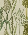 Tapeta zielnik Mind The Gap WP30164 RIVERSIDE FLORA The Wetlands