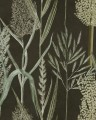 Tapeta zielnik Mind The Gap WP30166 RIVERSIDE FLORA The Wetlands