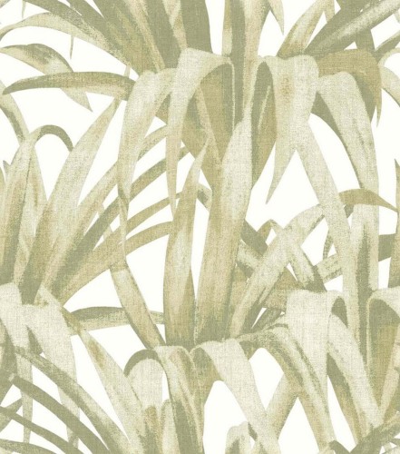 Tapeta liście Cristiana Masi 15525 Botany House