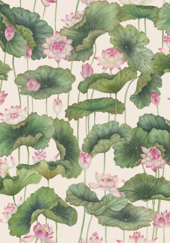 Tapeta lilie wodne Cole & Son Lily Lotus 126/9031 Shinrin Yoku