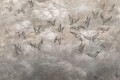 Fototapeta jaskółki Lorenso TPA 0524 0087 00 Avian