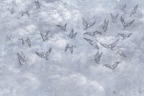 Fototapeta jaskółki Lorenso TPA 0524 0087 02 Avian