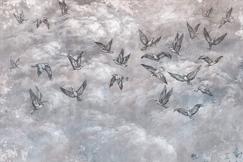 Fototapeta jaskółki Lorenso TPA 0524 0087 03 Avian