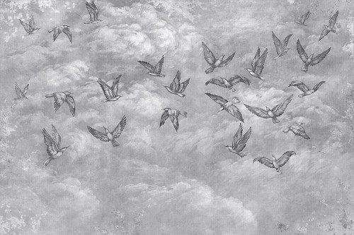 Fototapeta jaskółki Lorenso TPA 0524 0087 04 Avian