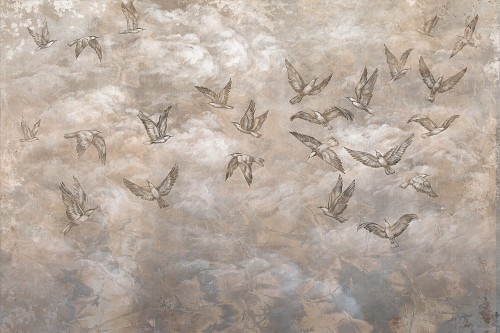 Fototapeta jaskółki Lorenso TPA 0524 0087 06 Avian