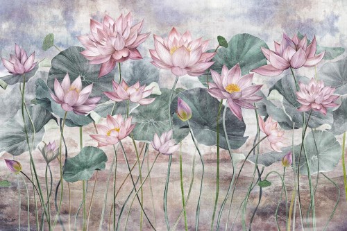 Fototapeta lilie wodne Lorenso TPA 0624 0092 05 Lotea