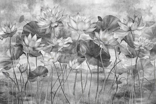 Fototapeta lilie wodne Lorenso TPA 0624 0092 07 Lotea