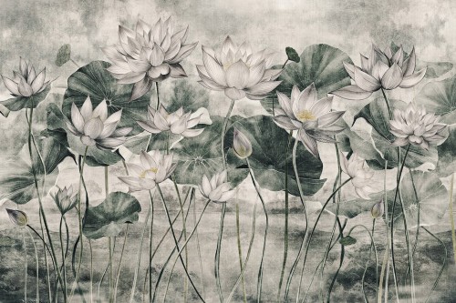 Fototapeta lilie wodne Lorenso TPA 0624 0092 08 Lotea