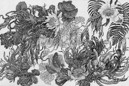 Fototapeta botaniczna Lorenso TPA 0924 0107 03 Botanica