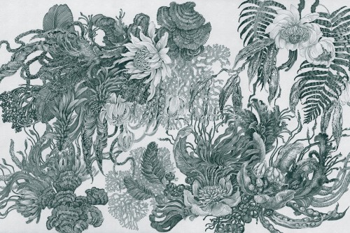 Fototapeta botaniczna Lorenso TPA 0924 0107 06 Botanica