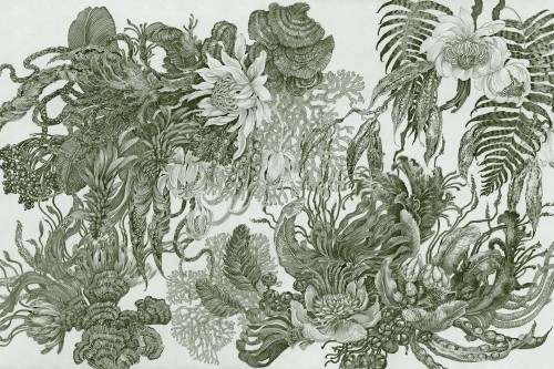 Fototapeta botaniczna Lorenso TPA 0924 0107 07 Botanica