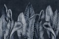 Fototapeta liście bananowca Lorenso TPA 0324 0073 04 Livo