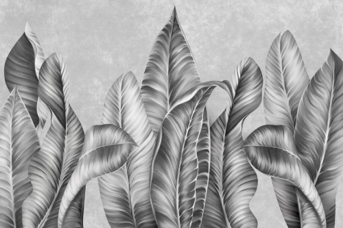 Fototapeta liście bananowca Lorenso TPA 0324 0073 09 Livo