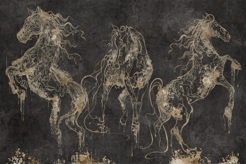 Fototapeta konie Lorenso TPA 0524 0083 05 Cavallo