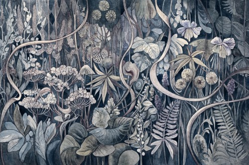 Fototapeta botaniczna Lorenso TPA 0624 0097 07 Feris