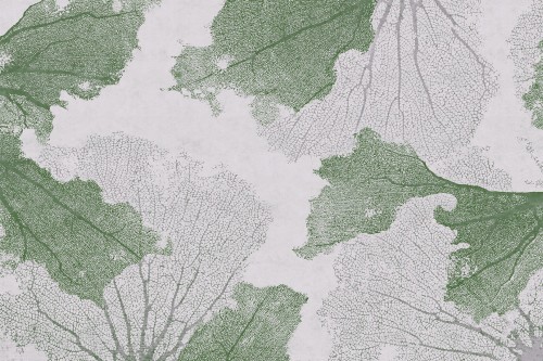 Fototapeta koralowce Lorenso TPA 0324 0075 03 Reefy