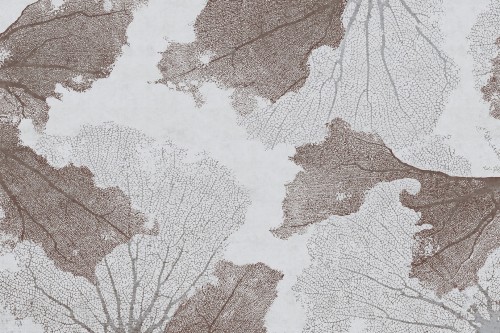 Fototapeta koralowce Lorenso TPA 0324 0075 04 Reefy