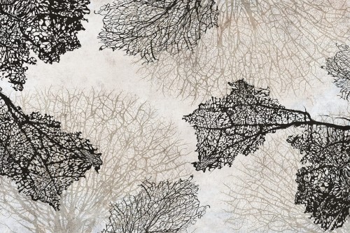 Fototapeta koralowce Lorenso TPA 0324 0074 06 Corali