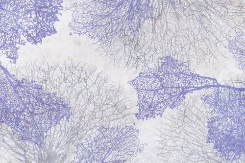 Fototapeta koralowce Lorenso TPA 0324 0074 07 Corali