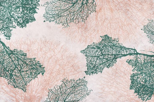 Fototapeta koralowce Lorenso TPA 0324 0074 08 Corali