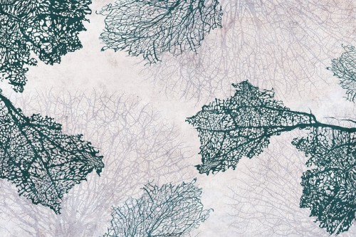 Fototapeta koralowce Lorenso TPA 0324 0074 09 Corali