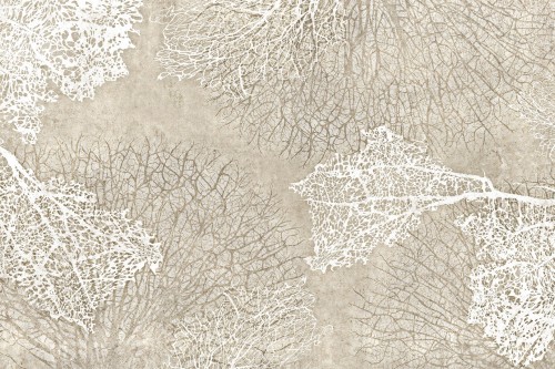 Fototapeta koralowce Lorenso TPA 0324 0074 10 Corali