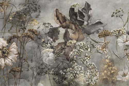 Fototapeta polne kwiaty Lorenso TPA 1123 0014 01 Noctiflor