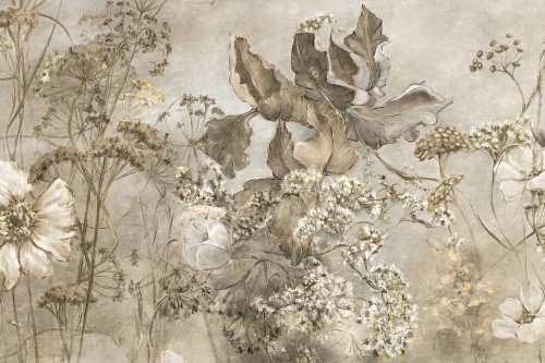 Fototapeta polne kwiaty Lorenso TPA 1123 0014 02 Noctiflor