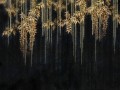 Fototapeta roślinna Wallcraft Aurum 940 31 2402