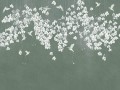Fototapeta kwiaty i ptaki Wallcraft Colibris 975 33 2402