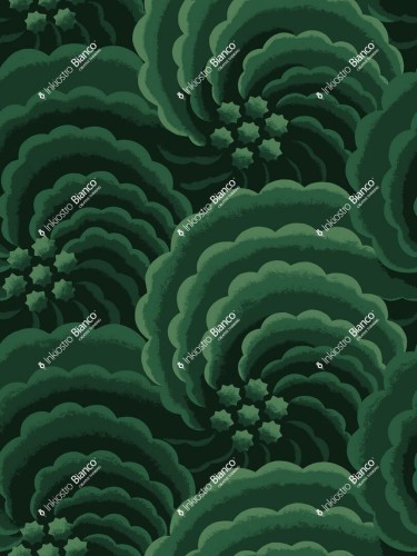 Fototapeta abstrakcyjne róże Inkiostro Bianco ROSA NERA INKDSER2404 Ken Scott Unconventional